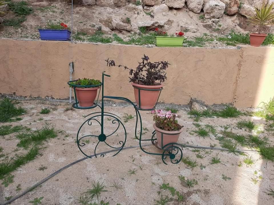 Emile Altwal Madaba 호텔 외부 사진